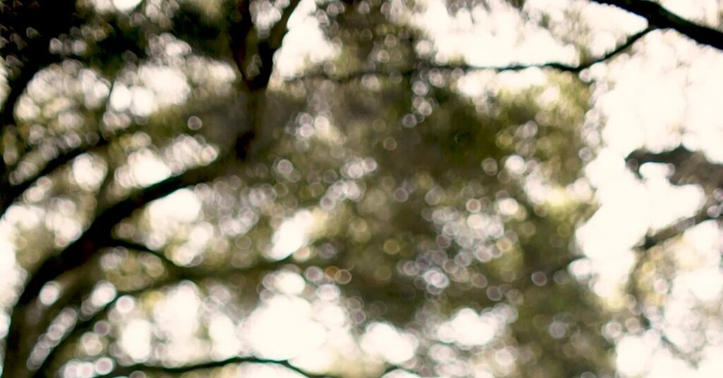 Sorry, Mom. You’re Chatting With an A.I. Agent, Not Your Son.