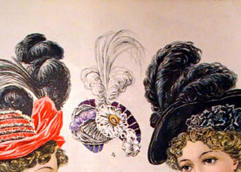 The Motley Crew Who Saved America’s Birds