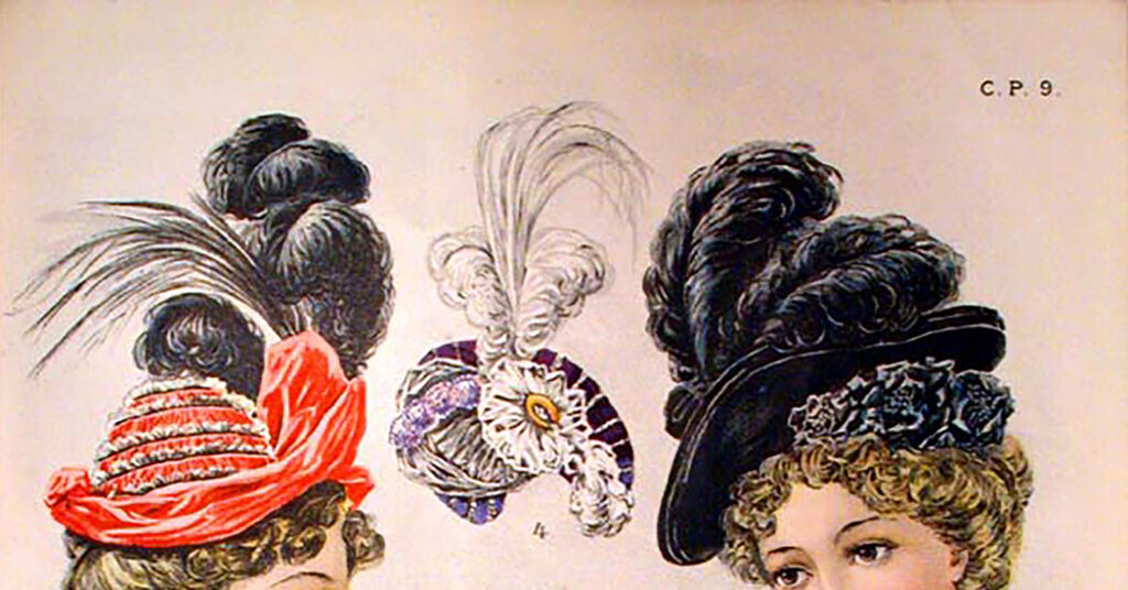 The Motley Crew Who Saved America’s Birds