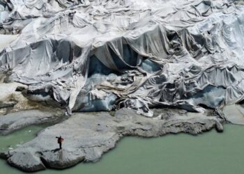 The Planet’s Warning Signs Are Flashing Red