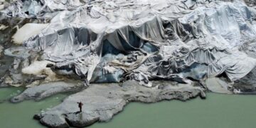 The Planet’s Warning Signs Are Flashing Red