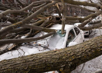 The Weather Is Getting Wilder, and Some See a Dire Signal in the Data