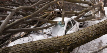 The Weather Is Getting Wilder, and Some See a Dire Signal in the Data