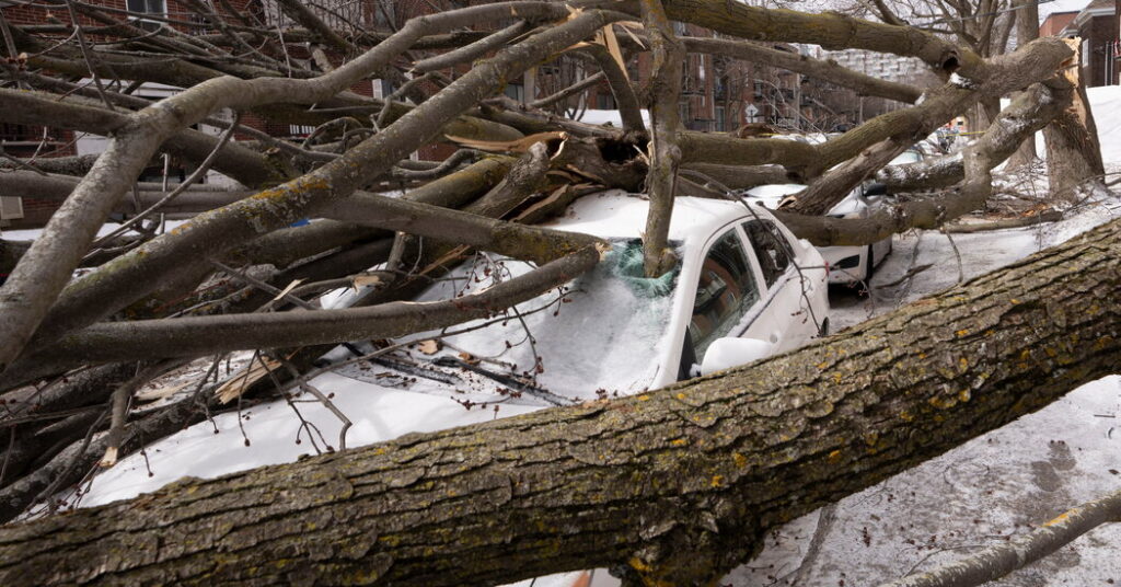 The Weather Is Getting Wilder, and Some See a Dire Signal in the Data