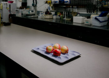 After Cosmic Crisp, Scientists Unveil an Apple for the Climate Change Era