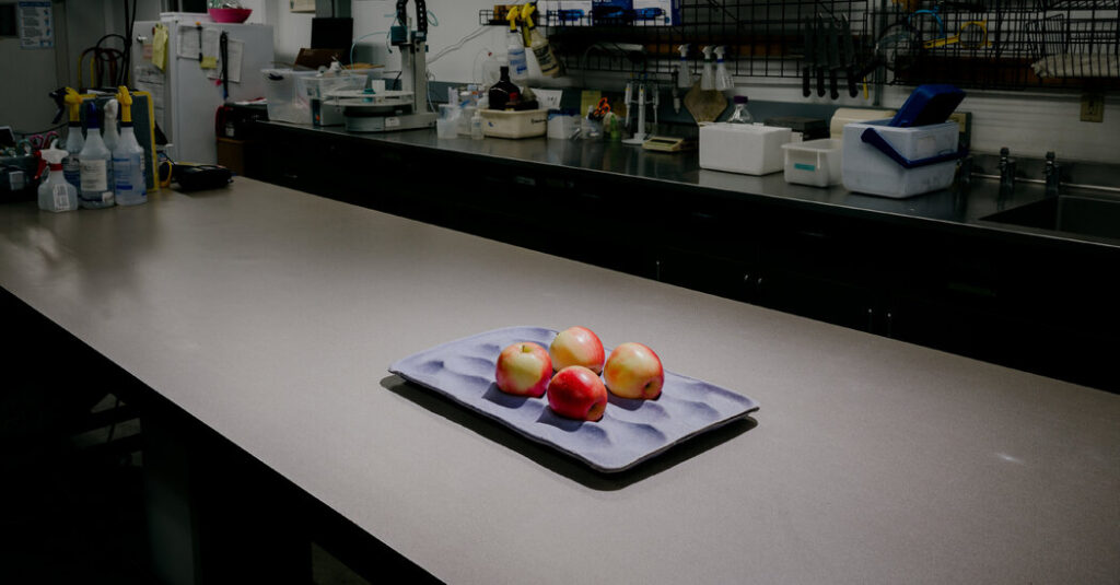 After Cosmic Crisp, Scientists Unveil an Apple for the Climate Change Era