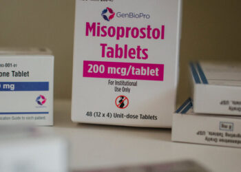 A Murder Charge in Georgia Exposes Complexities of the Abortion Debate