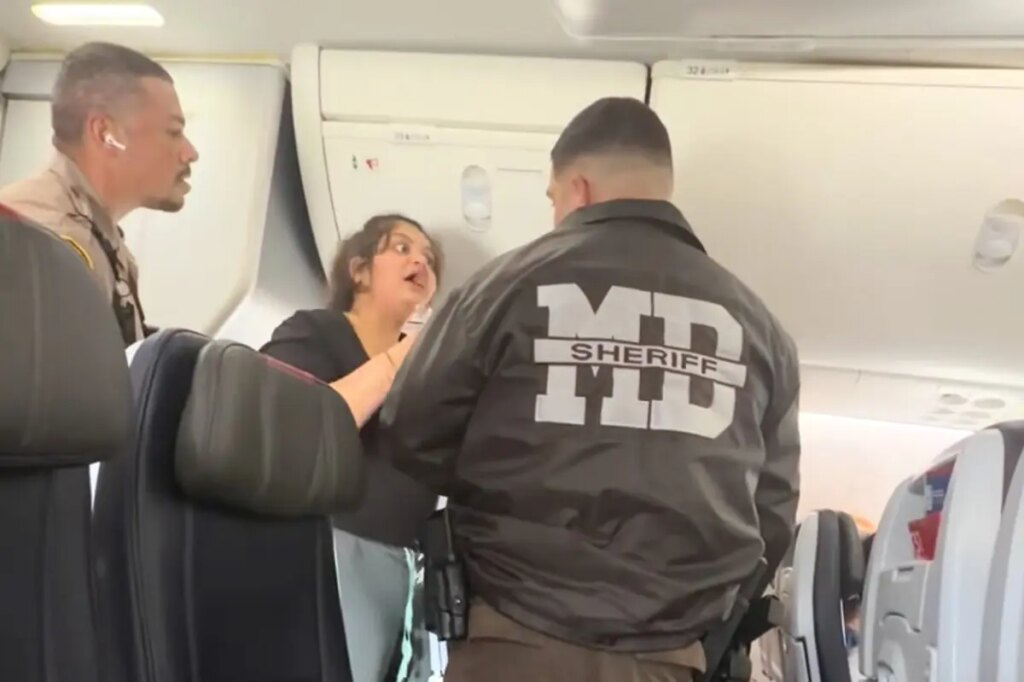 American Airlines traveler freaks out as she’s allegedly kicked off plane for playing videos on loudspeaker