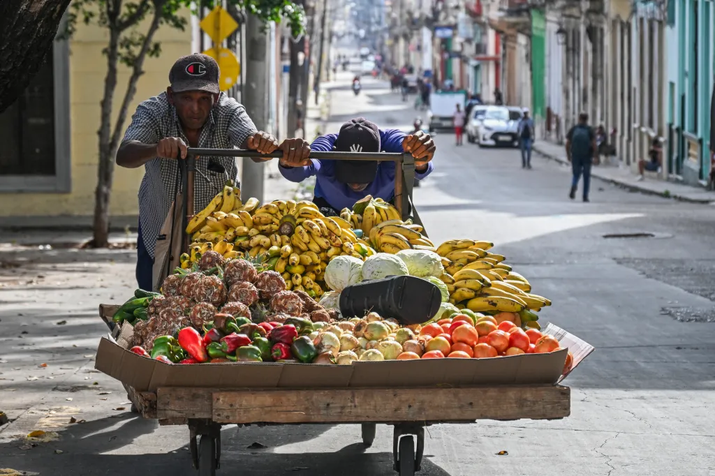 Two men pushing a cart full of agricultural products.