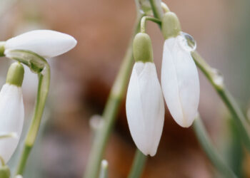 Spring Is Here. Do You Care?