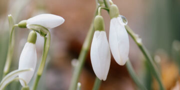 Spring Is Here. Do You Care?