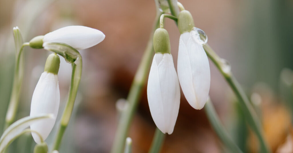 Spring Is Here. Do You Care?