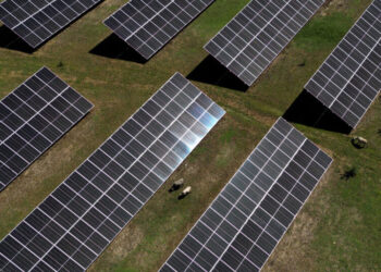 Spain Says the Sun Shields It From Rising Gas Costs. Is That True?