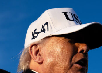 Alexander Brothers Are Said to Seek Trump Pardons for Sex Trafficking