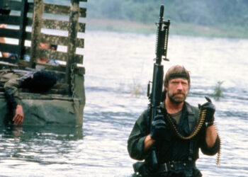 Chuck Norris Punched This Article Into the Sun