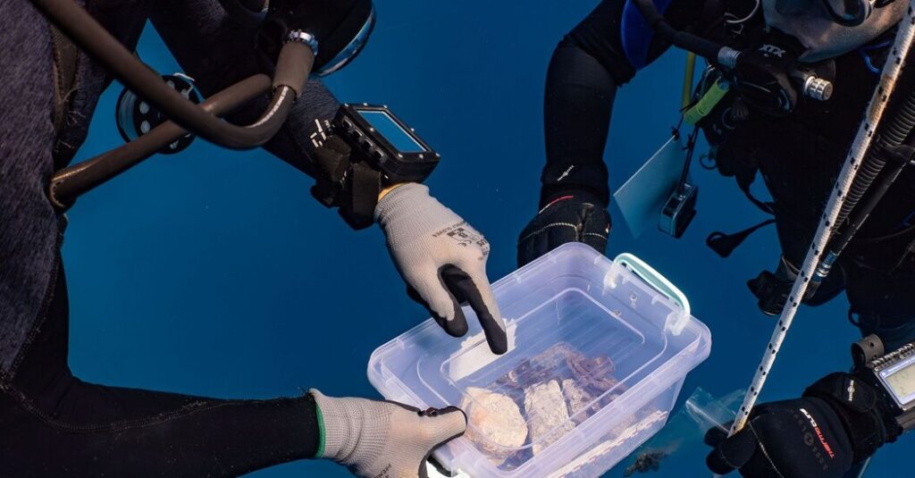 Stone Fragment Is Found in Wreck of Ship That Carried Parthenon Marbles