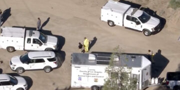 700 Dogs and Cats Are Rescued in Animal Cruelty Raid in Los Angeles County