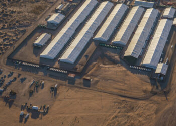 Contract for El Paso ICE Center Is Under Review, Homeland Security Says