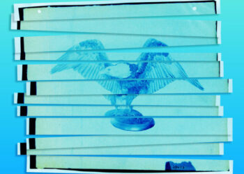 The Courts Cannot Save Us From Trump