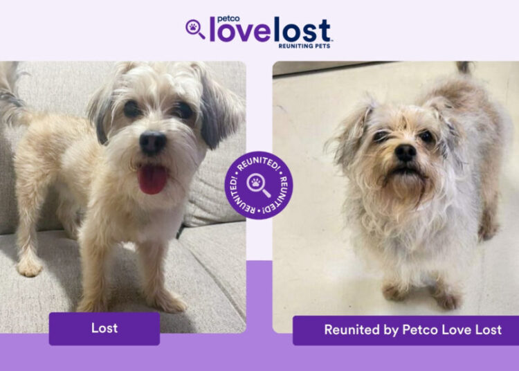 These people used AI to help find their lost pets