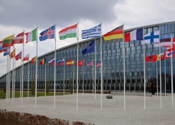 Why European weakness will ensure NATO’s survival in the long run