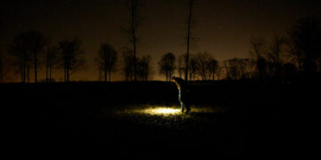 A Meteor Exploded Over Ohio. Then the Chase Began.