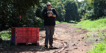 Israel Says Its Own Artillery Killed a Farmer, Not a Hezbollah Rocket