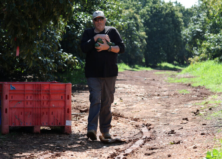 Israel Says Its Own Artillery Killed a Farmer, Not a Hezbollah Rocket