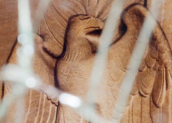 These States Don’t Want You to See the Cruelty of Their Executions