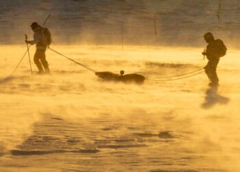 How Do You Measure Snow From Space? First, Climb a Mountain.