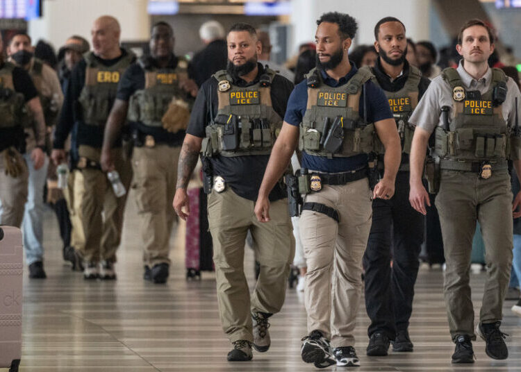 T.S.A. Union Leaders Blast Trump’s Deployment of ICE Agents in Airports