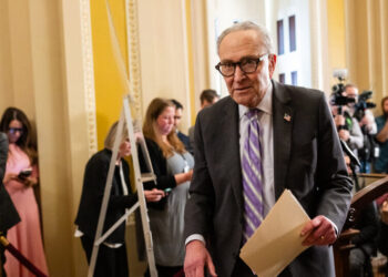 Schumer Says Democrats Will Try to Restore Clean Energy Tax Credits