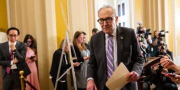 Schumer Says Democrats Will Try to Restore Clean Energy Tax Credits