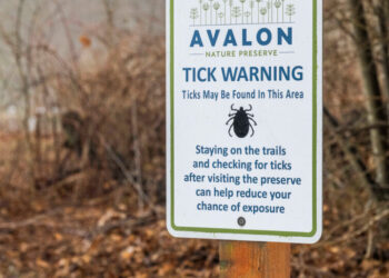 What to Know About Alpha-Gal Syndrome, a Meat Allergy Linked to Ticks