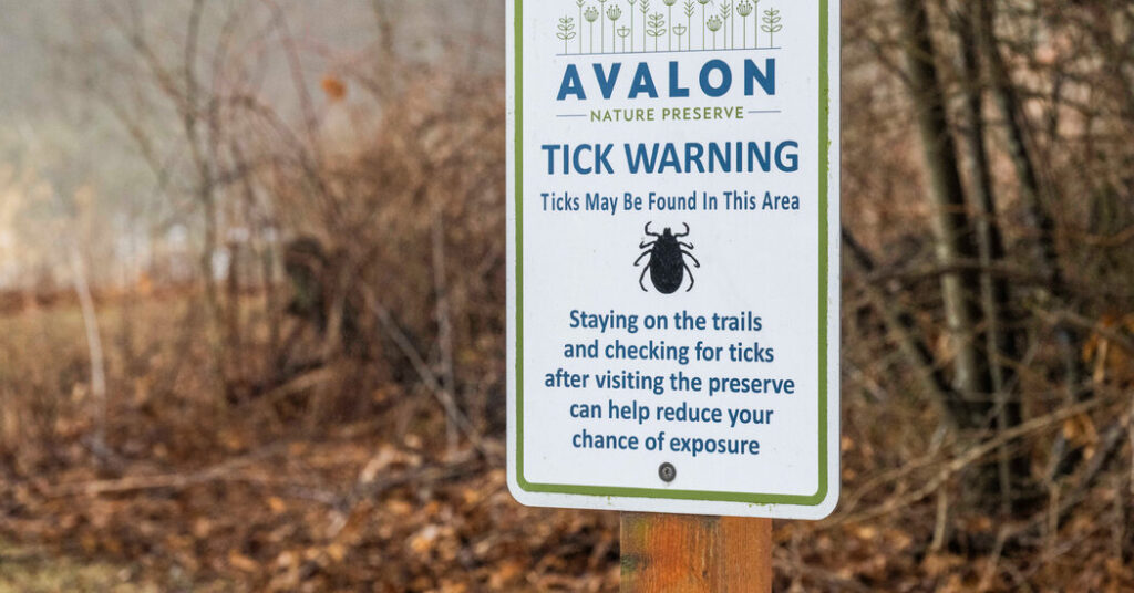 What to Know About Alpha-Gal Syndrome, a Meat Allergy Linked to Ticks