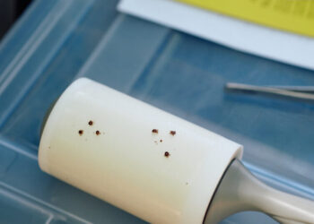 It Begins as a Tick Bite and Can Be Devastating. And It’s Spreading.