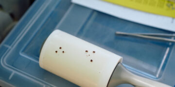 It Begins as a Tick Bite and Can Be Devastating. And It’s Spreading.