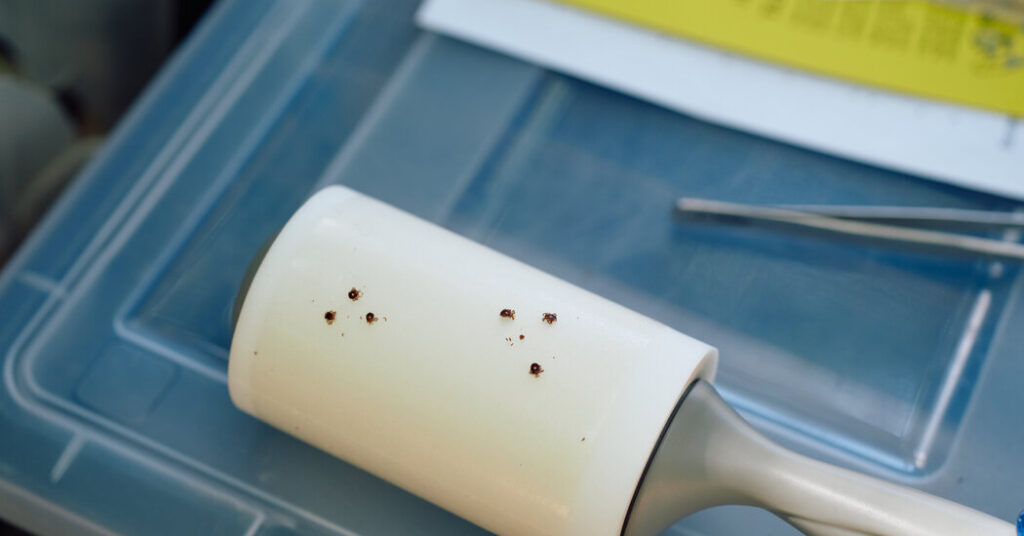 It Begins as a Tick Bite and Can Be Devastating. And It’s Spreading.