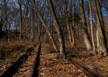 Should These Abandoned Tracks Become a Park or a Train Line? Or Both?
