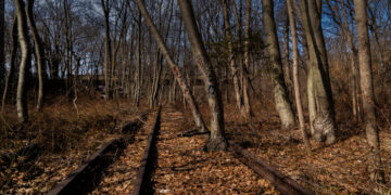 Should These Abandoned Tracks Become a Park or a Train Line? Or Both?