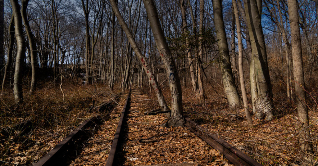 Should These Abandoned Tracks Become a Park or a Train Line? Or Both?