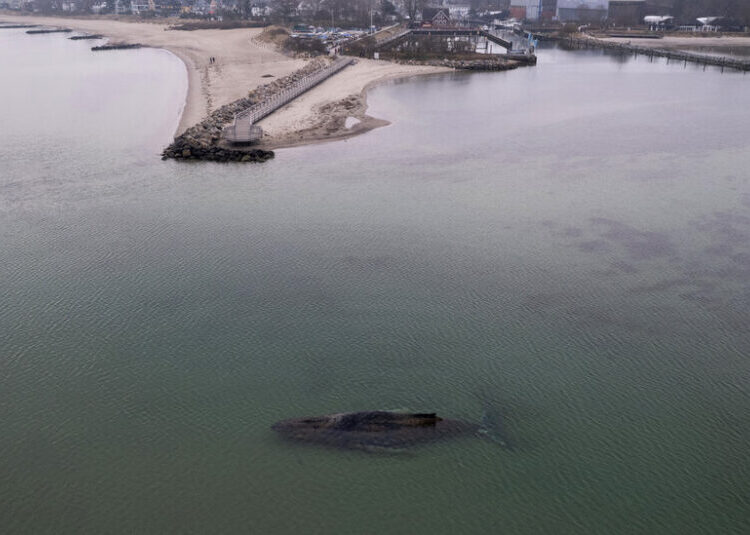 Rescuers Race to Save a 32-Foot Humpback Whale Stranded Off a German Beach