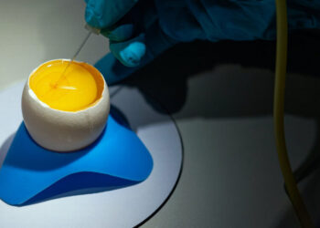 How to Turn a Chicken Egg Into a Drug Factory