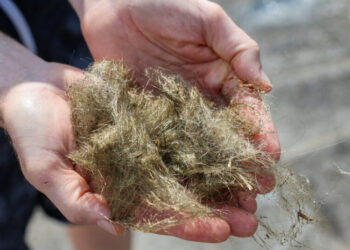 Glass Threads Spun From a Volcano’s Bubbly Magma