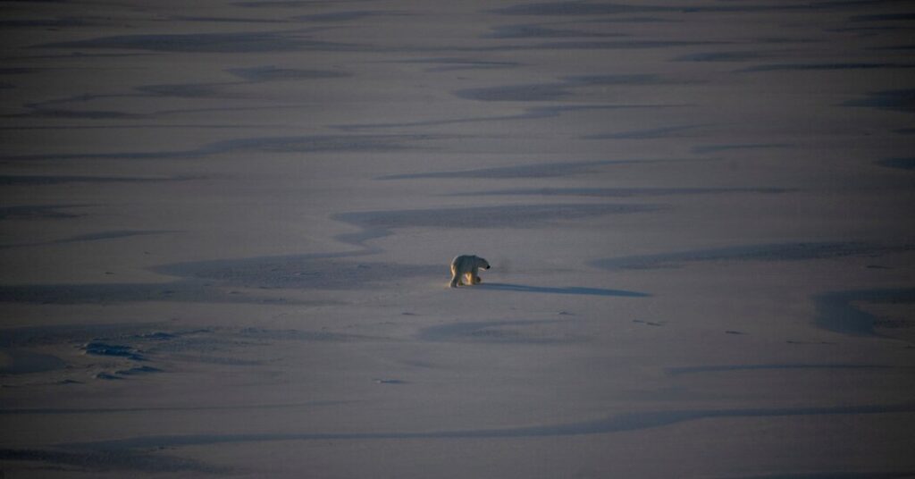 Winter Sea Ice in the Arctic Ties a Record Low