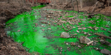 The Disgusting Reason a Staten Island Creek Turned Bright Green