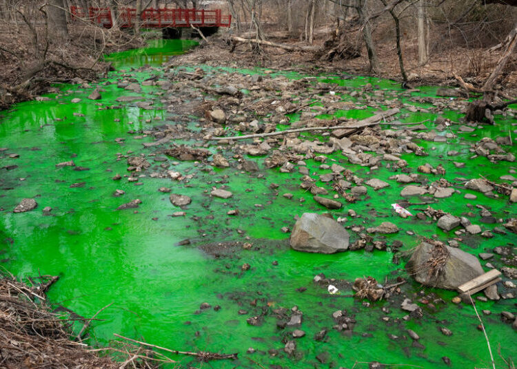 The Disgusting Reason a Staten Island Creek Turned Bright Green
