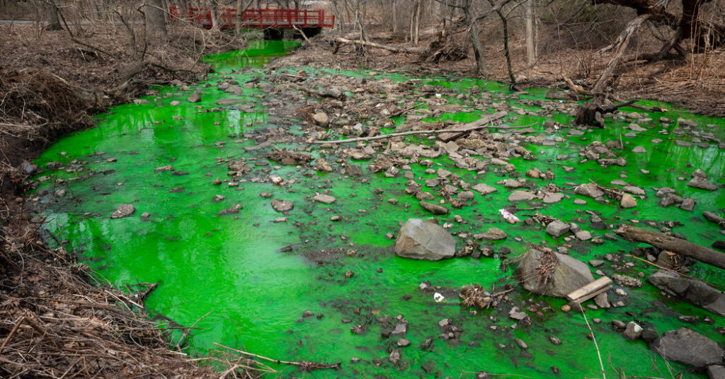The Disgusting Reason a Staten Island Creek Turned Bright Green