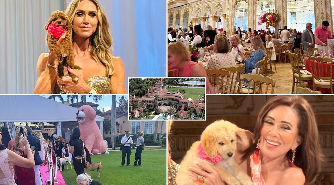 Trump Sends Message to Animal Rescue Benefit After Firing Puppy Killer