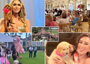 Trump Sends Message to Animal Rescue Benefit After Firing Puppy Killer